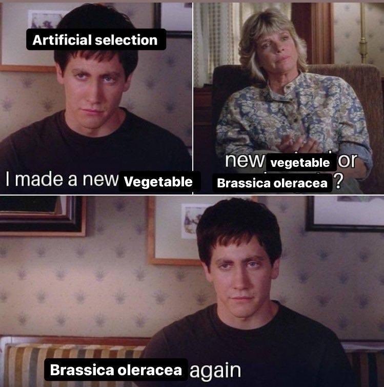 There are no new vegetables, just new brassica oleraceavarieties